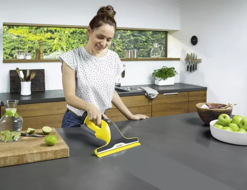 купить Стеклоочиститель Karcher WV 6 Plus в Кишинёве 