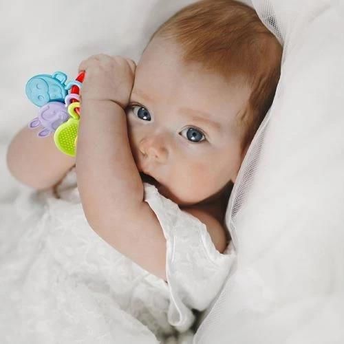 cumpără Iinel dentiție BabyJem 644 Jucarie dentitie Rattle Teether Rosie în Chișinău 