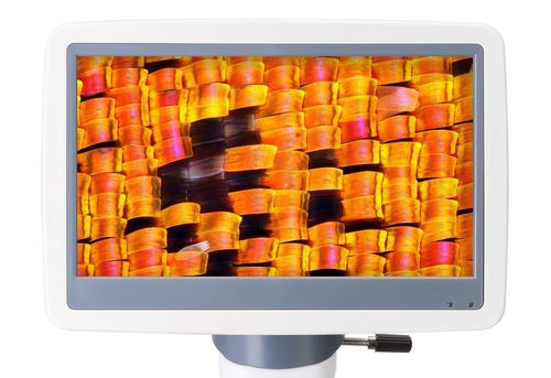 купить Микроскоп Levenhuk D95L LCD Digital в Кишинёве 