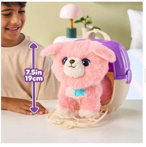cumpără Jucărie de pluș miscellaneous 30190 Scruff-A-Luvs. S3 pet, ast.4 în Chișinău 