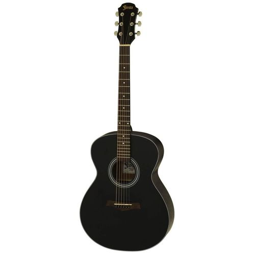 cumpără Chitară Fiesta Aria FST-F65 BK în Chișinău 