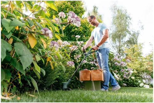 cumpără Trimmere pentru iarba Bosch EasyGrassCut 26 06008C1J01 în Chișinău 