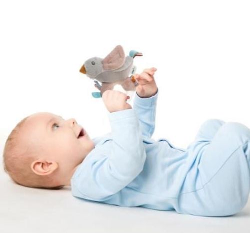 cumpără Zornăitoare BabyJem 859 Jucarie de plus si zornaitoare Lori Powder în Chișinău 