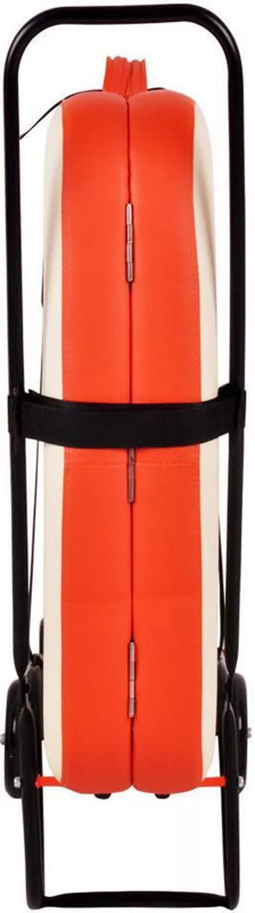 cumpără Cărucior miscellaneous 6894 Carucior transport masa masaj IN9427 în Chișinău 