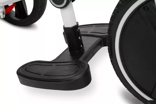 купить Велосипед-коляска Toyz 0358 Dush Tricicle Verde в Кишинёве 