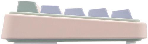 купить Клавиатура Varmilo VXT67 Eucalyptus 67Key, Gateron G Pro 2.0 Red, EN, RGB, Pink в Кишинёве 