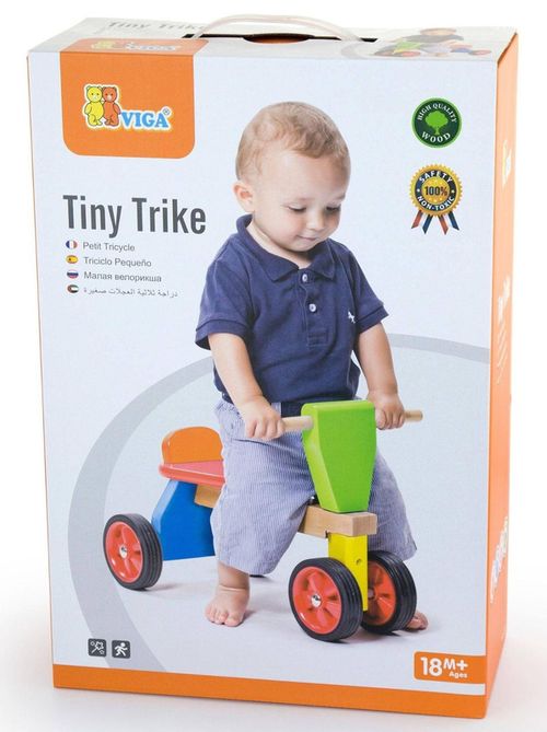 купить Толокар Viga 59693 Tiny Trike в Кишинёве 