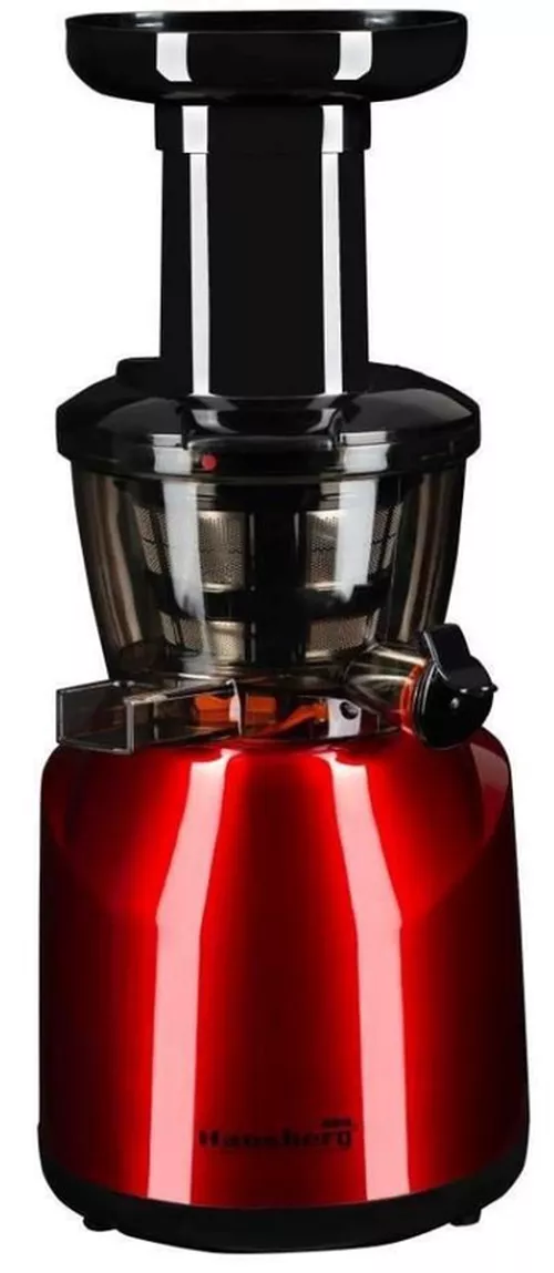 cumpără Storcător de fructe cu melc Hausberg HB-7519 în Chișinău 