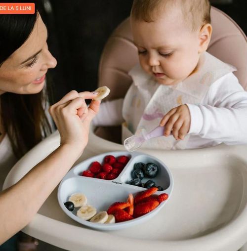 купить Посуда для кормления BabyOno 0784/01 Lingura de silicon 2 buc. в Кишинёве 