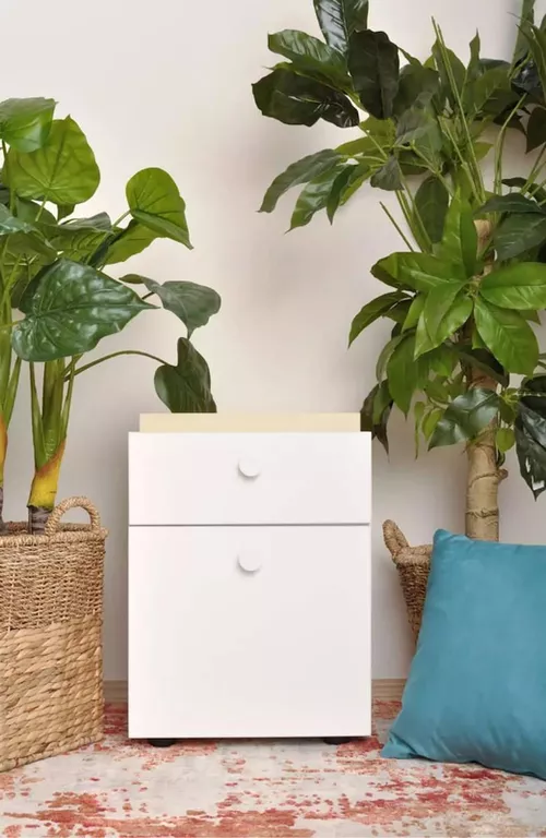 купить Тумбочка Fabrik Home Linia клён/белый ясень правая в Кишинёве 