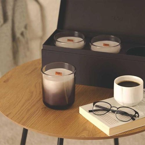 купить Свеча TAGU CandlePlace 3 cu trosnet si miros de semineu в Кишинёве 