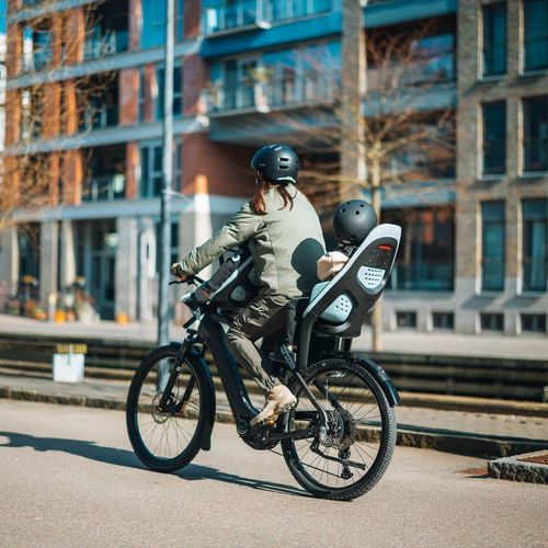 cumpără Scaun pentru bicicletă THULE Yepp 2 maxi frame mount neutria green (12041204) în Chișinău 