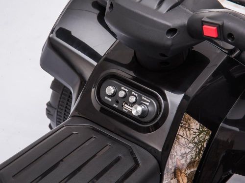 купить Электромобиль Baby Mix 55720 ATV Electric Quad Black в Кишинёве 