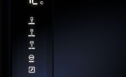 купить Холодильник SideBySide Teka RLF 85950 GBK в Кишинёве 