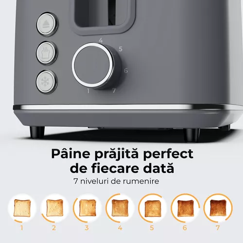 cumpără Toaster AENO ATS0001G în Chișinău 