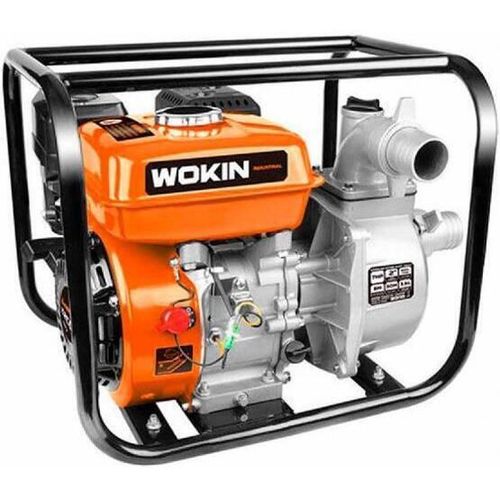 купить Насос Wokin 2 7CP (790602) в Кишинёве 