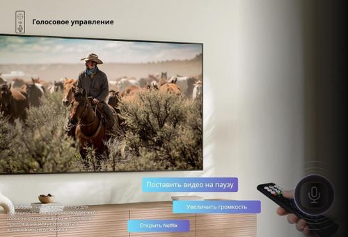 cumpără Televizor Hisense 65A6Q în Chișinău 