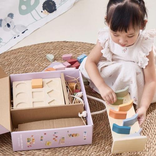 купить Игрушка Viga 44264 Set educativ: "Crește cu mine", (18-24 luni) в Кишинёве 