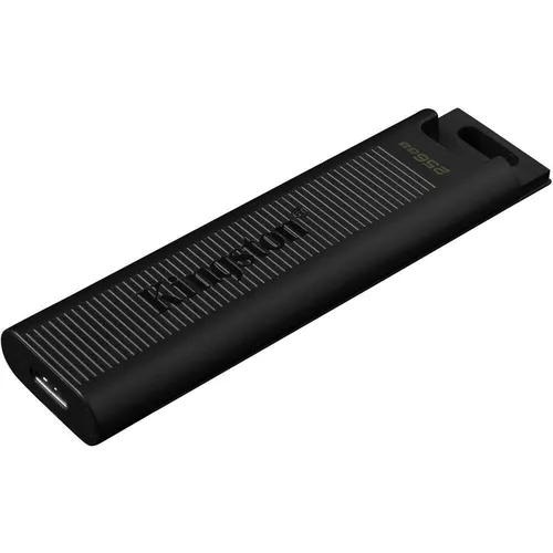 cumpără USB flash memorie Kingston DTMAX/256GB în Chișinău 