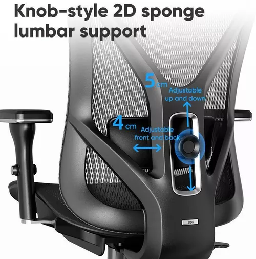 купить Офисное кресло Deli KF232J, сетка, черное в Кишинёве 