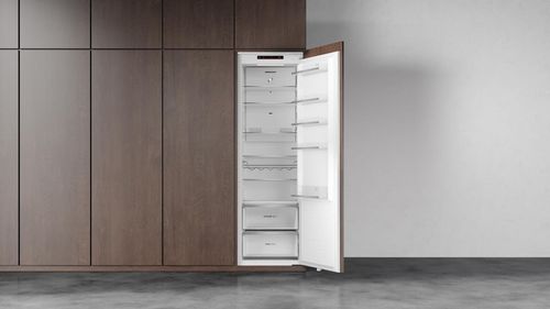 купить Встраиваемый холодильник Teka RSL 73385 FI в Кишинёве 