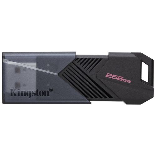 купить Флеш память USB Kingston DTXON/256GB в Кишинёве 