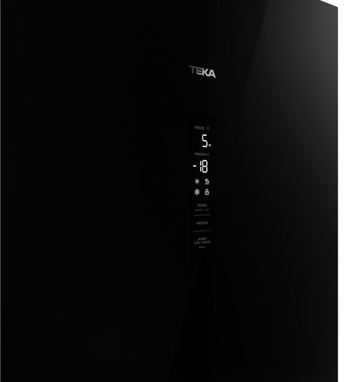 купить Холодильник с нижней морозильной камерой Teka RBF 88670 GBK в Кишинёве 