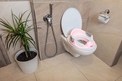 купить Детский горшок ZOPA 44425 Reductor anatomic pentru toaleta Coach Blush Pink в Кишинёве 