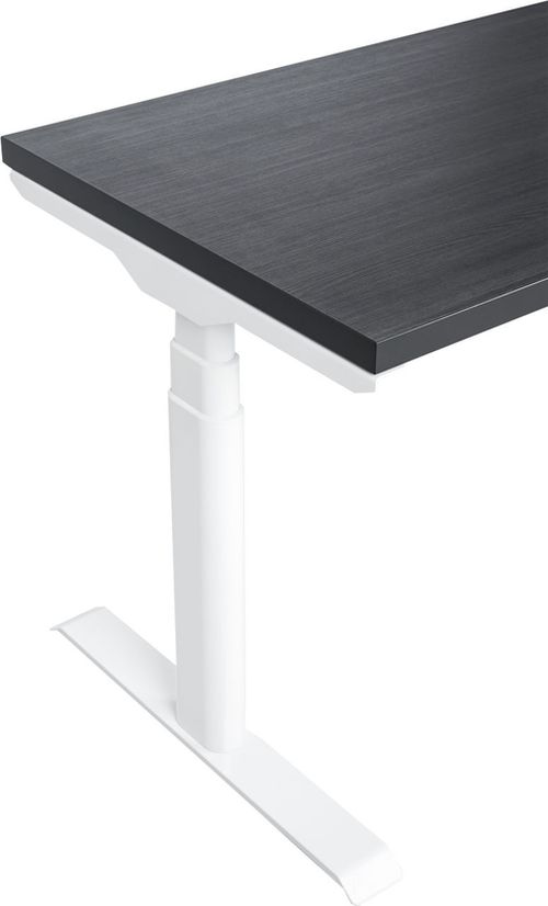 cumpără Masă pentru calculator CUSTÓ 100.02.0076 FlexiDesk Plus în Chișinău 