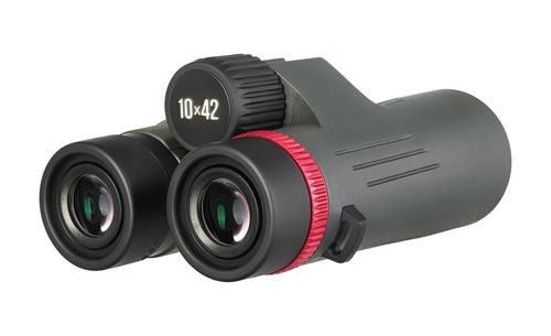 cumpără Binoclu Levenhuk Kelvin Snap 10x42 Photobinoculars în Chișinău 