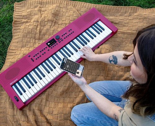 купить Цифровое пианино Roland GOKEYS3-RD в Кишинёве 