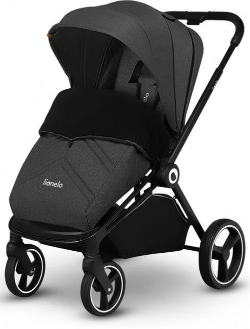 купить Детская коляска Lionelo Mika 2in1 Grey Graphite в Кишинёве 
