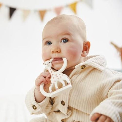 cumpără Iinel dentiție Sophie la Girafe 010318 Inel pentru dentițe (100% latex natural) în Chișinău 