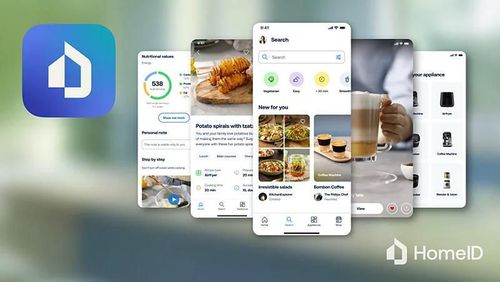 cumpără Friteuza cu aer cald Philips NA462/70 în Chișinău 
