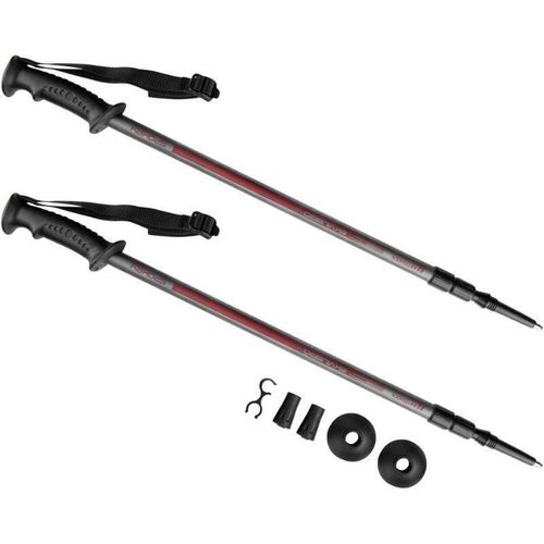 cumpără Bețe pentru trekking Spokey 924976 Ekvilibro Grey în Chișinău 