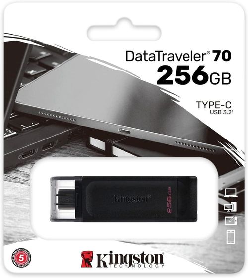 купить Флеш память USB Kingston DT70/256GB в Кишинёве 