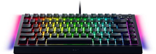 купить Игровая клавиатура Razer RZ03-05000100-R3M1 BlackWidow V4 75%, Black Edition US Layout в Кишинёве 