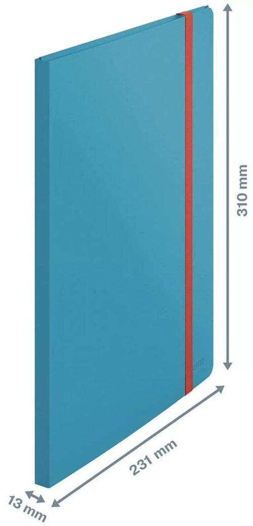 купить Папка для документов Leitz 46700061 Mapa cu folii Cosy A4, 20 folii, albastra в Кишинёве 