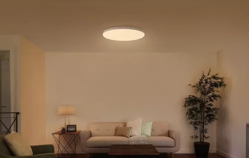 cumpără Corp de iluminat interior Xiaomi Mi LED Smart Ceiling Light în Chișinău 