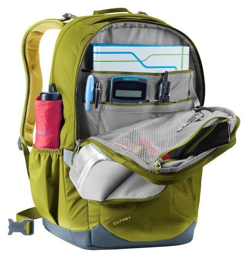купить Детский рюкзак Deuter Cotogy cactus-kelp (3831026 1219 0) в Кишинёве 