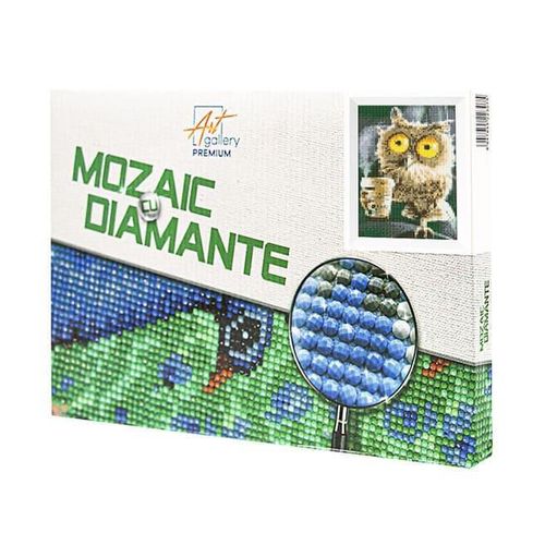 купить Картина по номерам Art Gallery JS27629 Mozaic cu diamante 20x30cm Cafeaua de dimineata в Кишинёве 