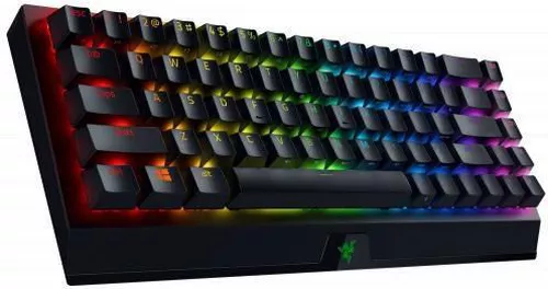 купить Клавиатура Razer RZ03-03890700-R3R1 Mechanical BlackWidow V3 Mini - RU Layout в Кишинёве 