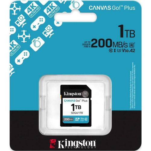купить Флеш карта памяти SD Kingston SDG4/1TB в Кишинёве 