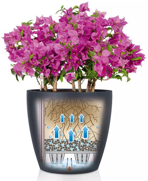 купить Цветочный горшок Lechuza Classico Color 21, Slate в Кишинёве 