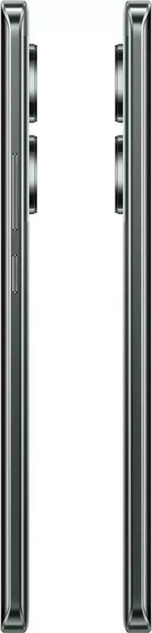 cumpără Smartphone Realme GT6T 12/256GB NFC Green în Chișinău 