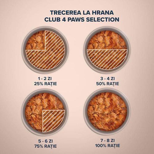 купить Корм для питомцев CLUB 4 PAWS 24230952 Plic pisici mousse iepure in sos 12x85g LT в Кишинёве 