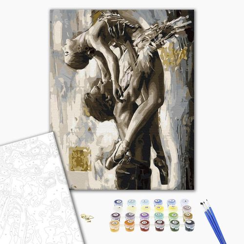 cumpără Tablou pe numere BrushMe BS52268 (în cutie) Dans grațios în Chișinău 