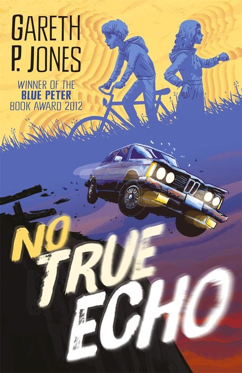 купить No True Echo (Garet P. Jones) в Кишинёве 