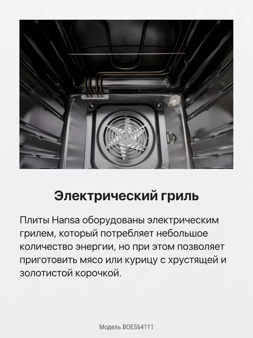 cumpără Cuptor electric încorporabil Hansa BOES64111 în Chișinău 