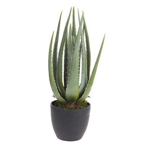 cumpără Plantă artificială Promstore 55244 Aloe, 45cm, in ghiveci în Chișinău 
